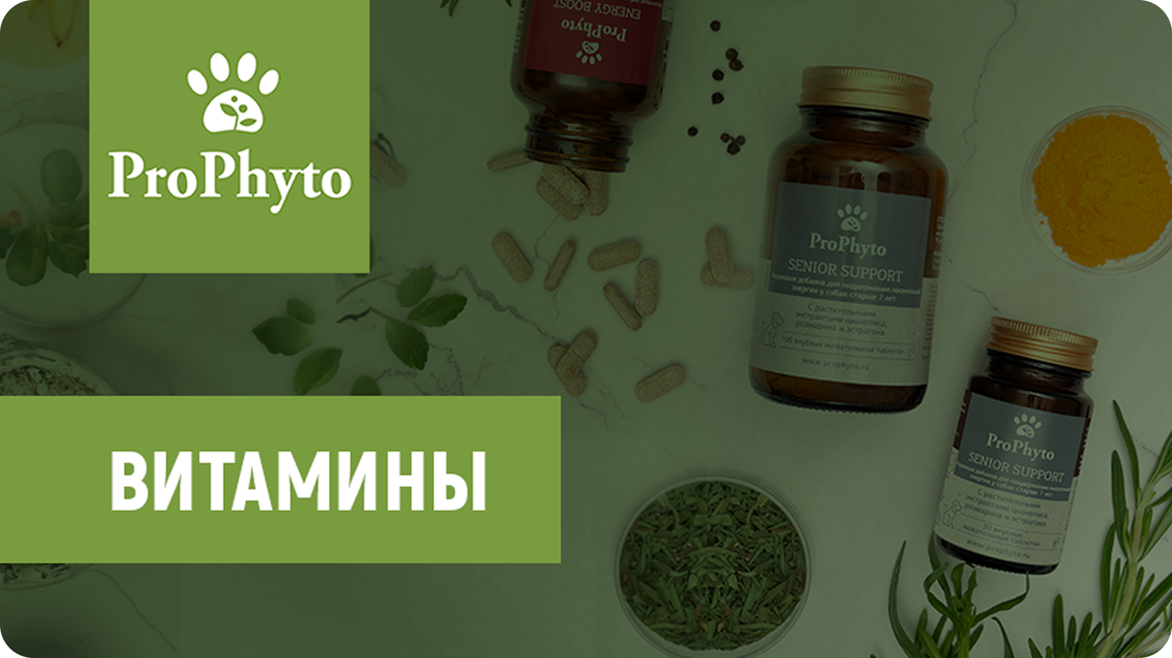 Видео-ролик с обучением по продукции ProPhyto (часть 1)