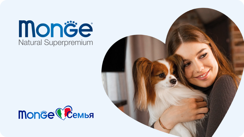 Видео-ролик с обучением по продукции MONGE