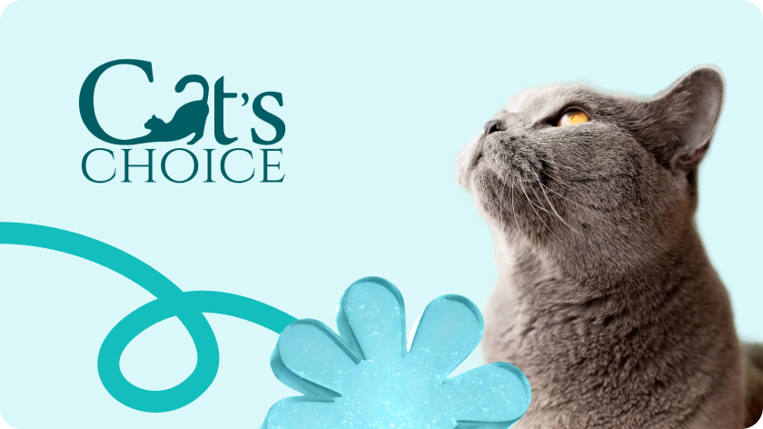 Видео-ролик с обучением по продукции Cat's Choice